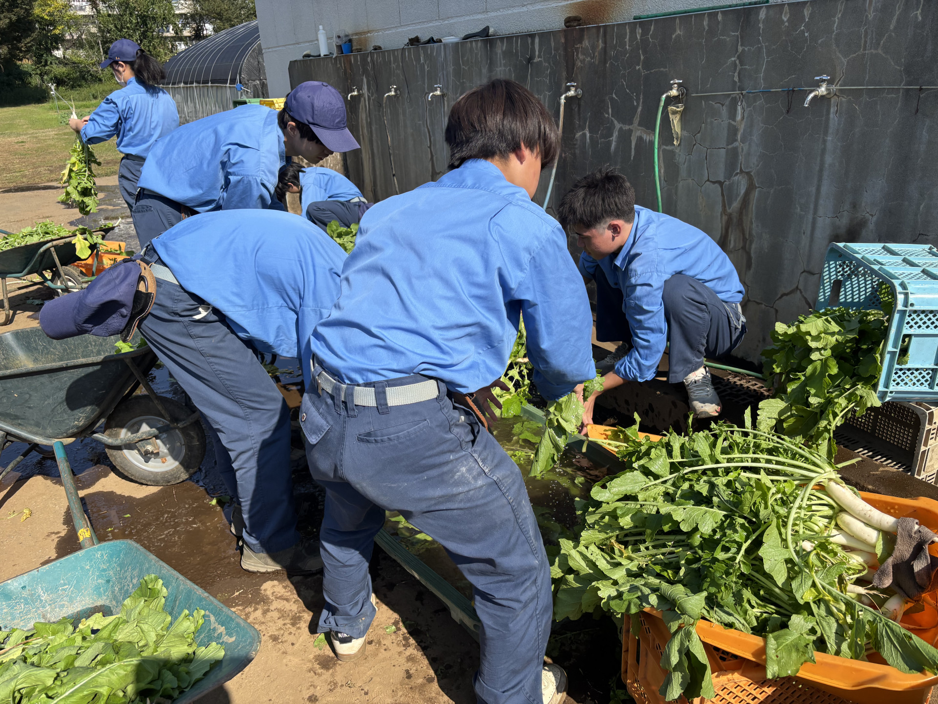 画像 -20251030-023203-3879b63c